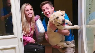 ELLIE AND JARED ROAD TRIP VACATION!