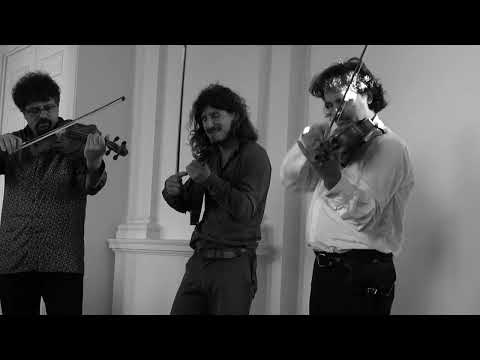 Tcha Limberger et les Violons de Bruxelles -  Ultrafox