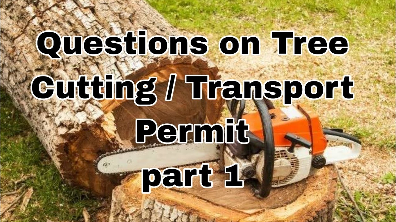 TREE CUTTING PERMIT / TRANSPORT PERMIT / PD 705 part 1