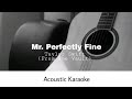 Taylor Swift - Mr. Perfectly Fine (Acoustic Karaoke)