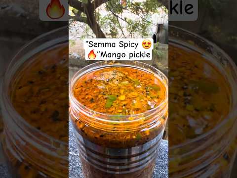 Rajasthani Style Spicy Mango Thokku 😍 Wife Senja Uruka Recipe