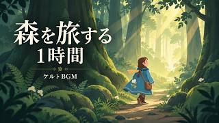 シダが分かれる場所ほか 15曲収録動画