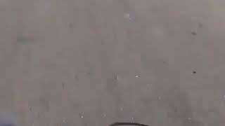 Download lagu Story wa 30 detik sindir pacar|story wa sindir mantan pacar mp3