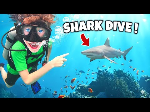 KIDS Dive with SHARKS, TURTLES, and BARRACUDA! River & Wilder Show