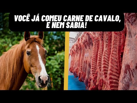 , title : 'Maior fazenda de Carne de cavalo do Brasil!'