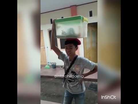 download lagu mp3 mp4 Lagu Lucu Nasi Kuning, download lagu Lagu Lucu Nasi Kuning gratis, unduh video klip Lagu Lucu Nasi Kuning