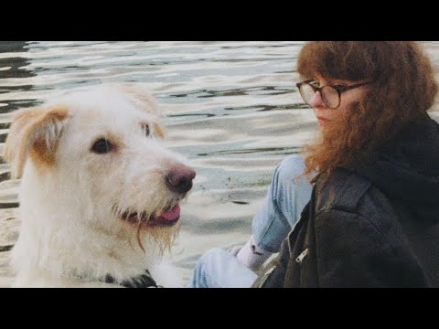 Лиза Громова - глупая скучная собака