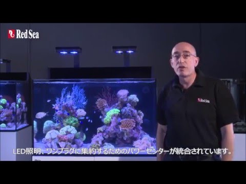 Red Sea Max Eシリーズ Reef Specフル準拠 コーラルリーフアクアリウム Red Sea Max Eシリーズ Reef Specフル準拠 コーラルリーフアクアリウム