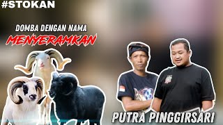 Download lagu #STORYKANDANG | DOMBA DENGAN NAMA MENYERAMKAN MILIK PDPD PUTRA PINGGIRSARI mp3 Download lagu #STORYKANDANG | DOMBA DENGAN NAMA MENYERAMKAN MILIK PDPD PUTRA PINGGIRSARI mp3