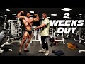 2 WEEKS OUT OF BODYBUILDING SHOW | POSING AND WORKOUT W/ IFBB PRO