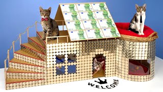 I Gave Homeless Kittens $1,000,000 House