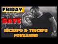 Beginner Workout Routine |DAY5| BICESPS&TRICEPS&FOREARMS |set&reps|