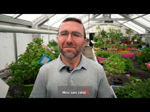 Objectif Mois Sans Tabac 2022 : Dr RICHARD  - Déprime et tabac 🚭