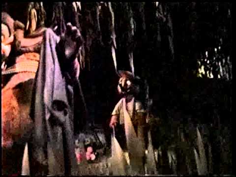 DL 2000 19 Splash Mountain