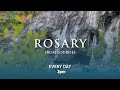 Rosary From Lourdes 13 08 2025