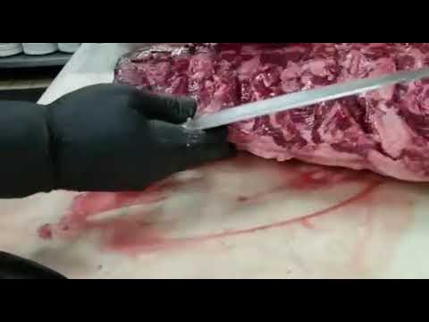 download lagu mp3 mp4 Prime Angus Ribeye, download lagu Prime Angus Ribeye gratis, unduh video klip Prime Angus Ribeye