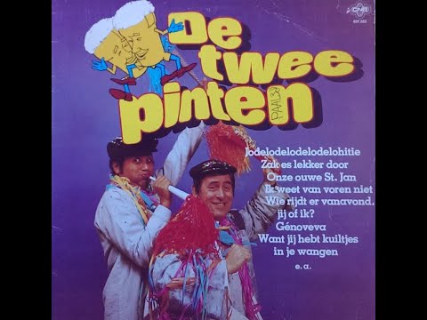 DE TWEE PINTEN - DE TWEE PINTEN | LP1984