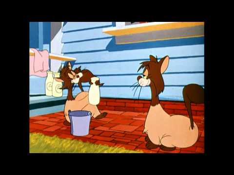 Magic English DVD 06 - It's Delicous