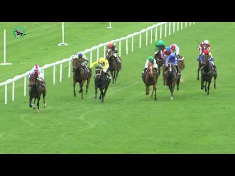 BA 9.4. Dostihy 2 - Cena Kia Sportage