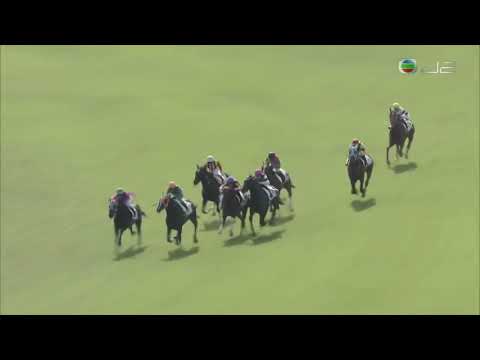 2018 Japan 3YO And Up Allowance - Solace (安撫人心) - F.Matsuwaka