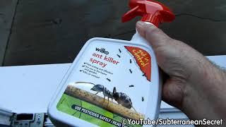 How to Prevent Bugs and Spiders from Nesting in Your Door and Window Frames