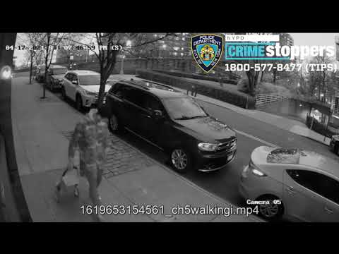 NYPD Synagogue Mischief