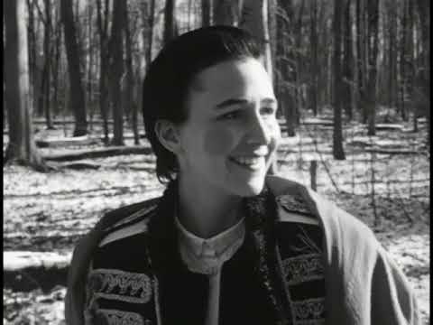 Jane Siberry - The Bird In The Gravel (Official Video)