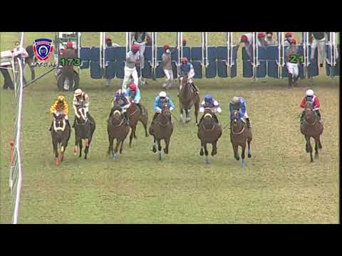 RM17 R3 | Senor's Guest | D.Sooful