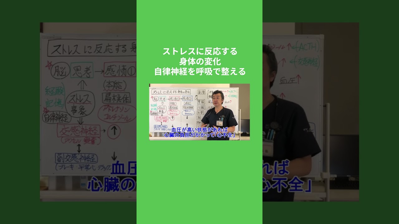 ストレスに反応する身体の変化：自律神経を呼吸で整える