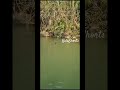 Vadivelu Trending Comdey Whatsapp Status Chennai Rain Funny Status Tamil Shorts Youtubeshorts