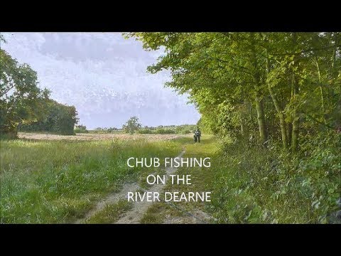 CHUB FISHING ON THE RIVER DEARNE -  VIDEO 1
