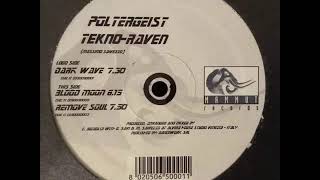 Poltergeist - Tekno-Raven
