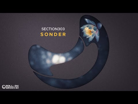 Section303 - Sonder (Original Mix) - Official Audio