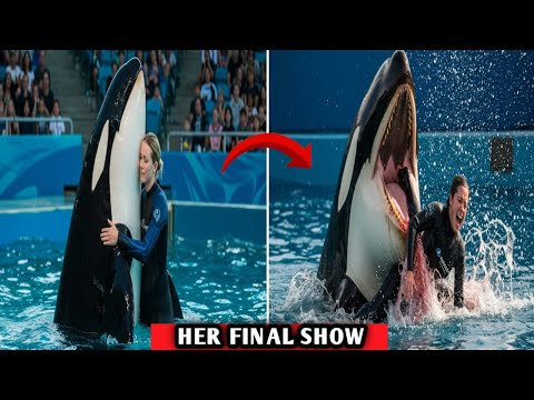 The SHOCKING Final Show of JESSICA  RADCLIFFE Orca Attack || THE FULL STORY