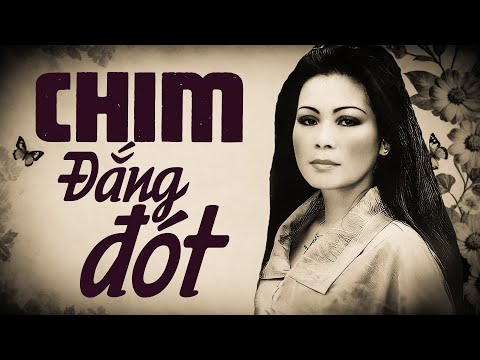 Chim đắng đót (Bài tình ca nhỏ) - Khánh Ly