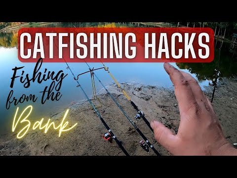 BEST 5 HACKS FOR CATFISHING FROM THE BANK