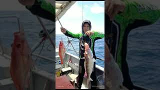 Download lagu SH Sehorse77 BINTULU mp3