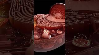 A extinção estava a um passo! O drama dos cavalos selvagens.