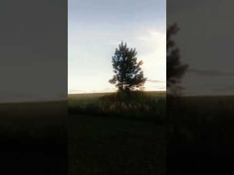 Rammstein - Sonne  / POUSADA LA VIERRO EN PONTA GROSSA #autosde3continentes #pontagrossa #parana