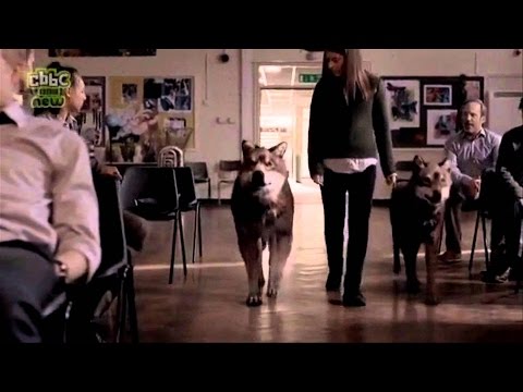 Wolfblood s 1 e 2 s1e2