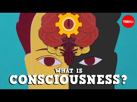 What is consciousness? - Michael S. A. Graziano