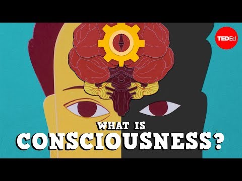 YouTube video about Philosophical questions about the human mind, consciousness, and intelligence