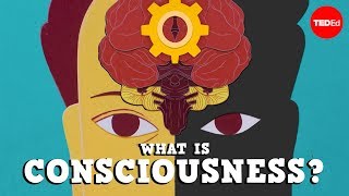 What is consciousness? - Michael S. A. Graziano