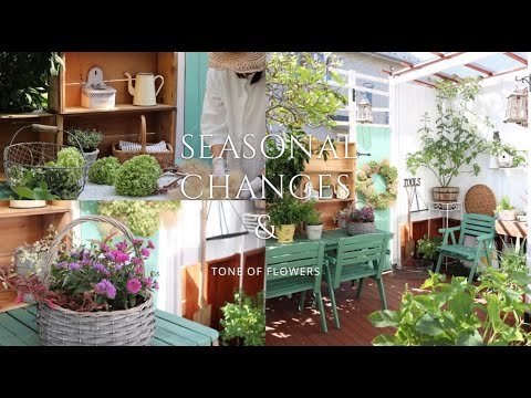 ミラベルプラムの作り方: とても簡単です 庭の練習