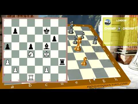 Potapov Pavel vs Levon Aronian