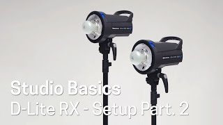 Elinchrom D-Lite RX 4/4 Softbox To Go Kit EL20839.2 B&H Photo