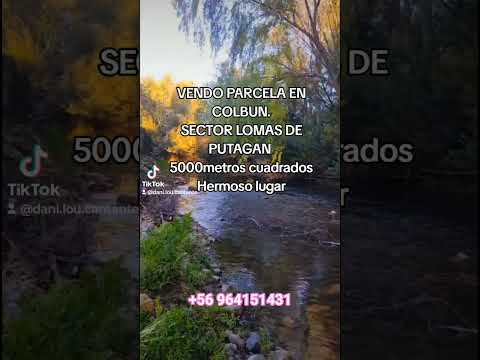 vendo parcela interesados reales me hablan #chile #turismo#maule#linares#vivirmejor#parcelas #ventas