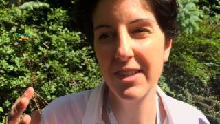 enRoute and the Challenge of the Future