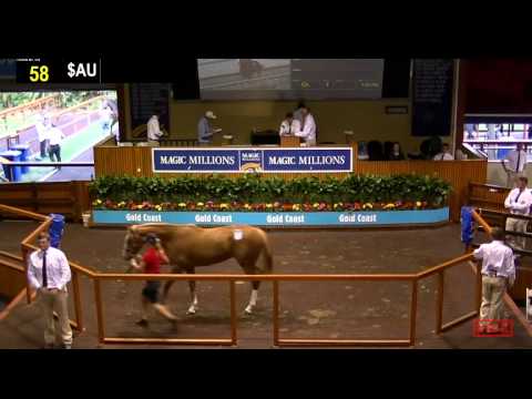 2013 Gold Coast Horses In Training Sale Day 1