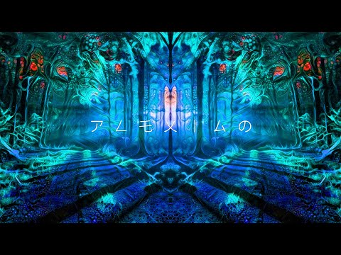 PLEXIGO - Whispering Clouds [Twilight Forest Psytrance] • DJ-Set • January 2OI6